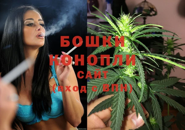 амф Арсеньев