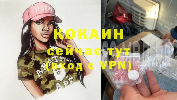 амф Арсеньев